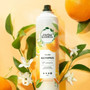 Herbal Essences Volume Hairspray, Level 4 - 8 oz