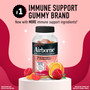 Airborne Original Immune Support Supplement Gummies - 63 ct