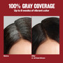 Revlon ColorSilk Beautiful Color Permanent Hair Color  85B Light Strawberry Blonde
