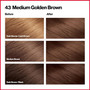 Revlon ColorSilk Beautiful Color Permanent Hair Color 43 Medium Golden Brown