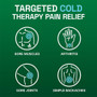 Biofreeze Menthol-Pain Relieving Patches Extra Large - 4 ct