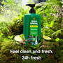 Irish Spring Body Wash Original - 30 oz