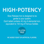21st Century Slow Release Iron Tablets - 60 ct