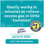 Little Tummy's Gas Relief Drops Natural Berry Flavor - 1 oz