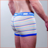 Baskit Wild Stripes Trunk