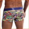 MaleBasics Comics Fun Hipster Trunk