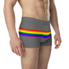  WTees Rainbow Stripe Trunk Boxer Briefs Grey