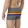  WTees Rainbow Stripe Trunk Boxer Briefs Grey