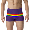 WTees Rainbow Stripe Trunk Boxer Briefs Purple