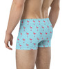 WTees Pink Flamingos Boxer Briefs Light Blue