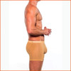 HARD CORE Intimates Nude Mesh Trunk