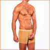 HARD CORE Intimates Nude Mesh Trunk