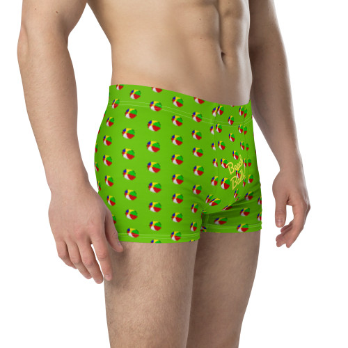 WTees Beach Balls! Boxer Briefs Green