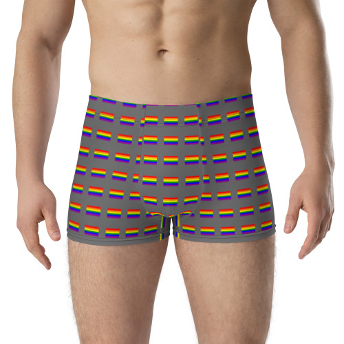 WTees Rainbow Flags Trunk Boxer Briefs Grey