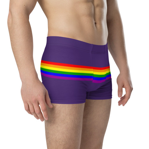WTees Rainbow Stripe Trunk Boxer Briefs Purple