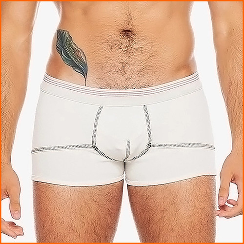 Go Softwear Hemp Boxer Brief