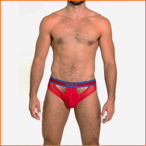 Go Softwear Sheer Mesh Thong