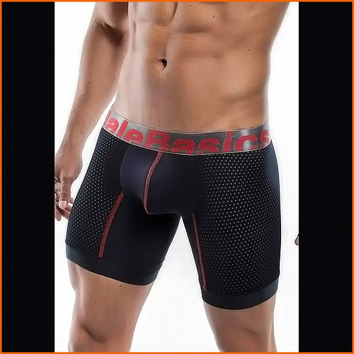 Malebasics Performance Titanium +Fit Boxer Brief