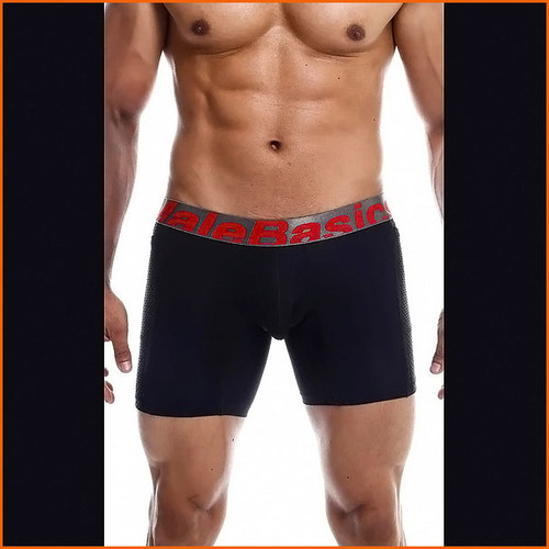 MaleBasics Titanium Pocket Boxer Brief