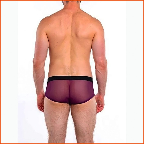 HARD CORE Intimates Brief 