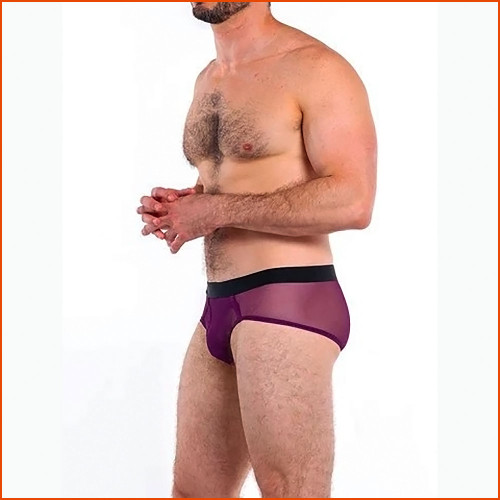 HARD CORE Intimates Brief 