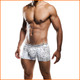 MaleBasics  Spider Hipster Trunk