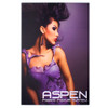 2 x 3 ft. Aspen Single Slim Fabric Frame (Graphic Package)