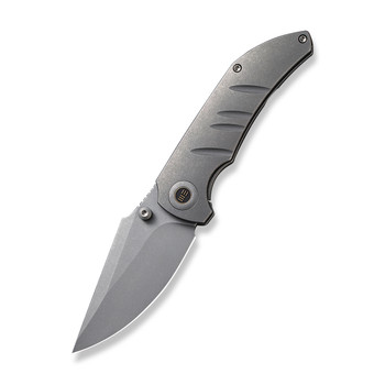 WE Riff-Raff Folding Knife Gray Titanium Handle 20CV Clip Point