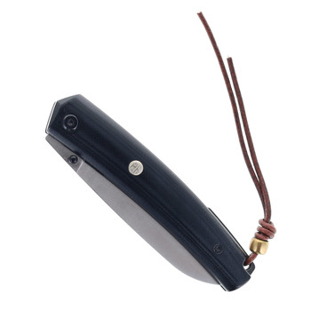 Petrified Fish Folding Knife Black G10 Handle 12C27N Plain Edge Satin Finish 719-DS