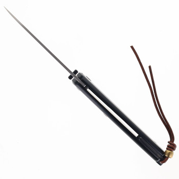 Petrified Fish Folding Knife Black G10 Handle 12C27N Plain Edge Satin Finish 719-DS