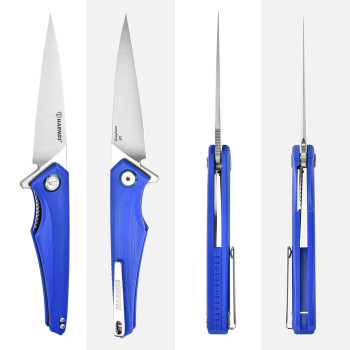 Harnds Quinluan CK9173BU-S Blue G10 D2 Satin Blade
