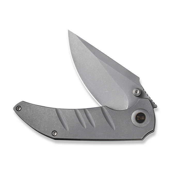 WE Riff-Raff Folding Knife Gray Titanium Handle 20CV Clip Point