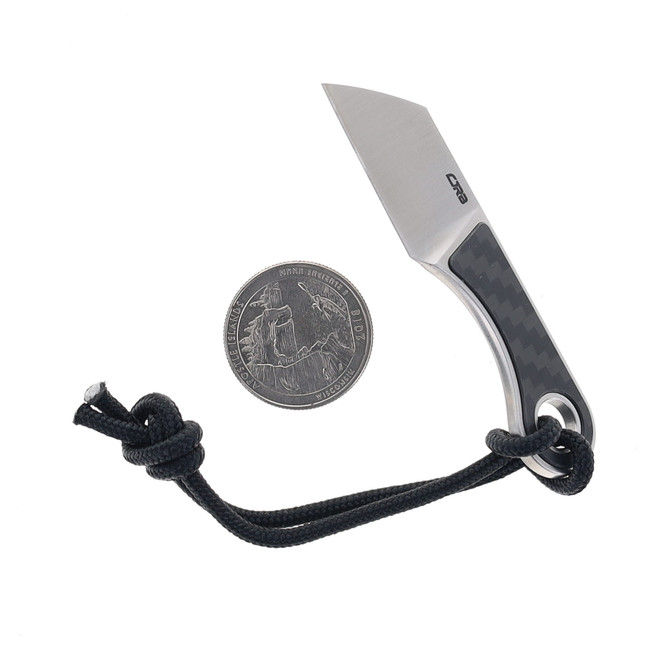 CJRB Chip Fixed Blade Knife Carbon Fiber Handle AR-RPM9 Plain Edge J1939-CF