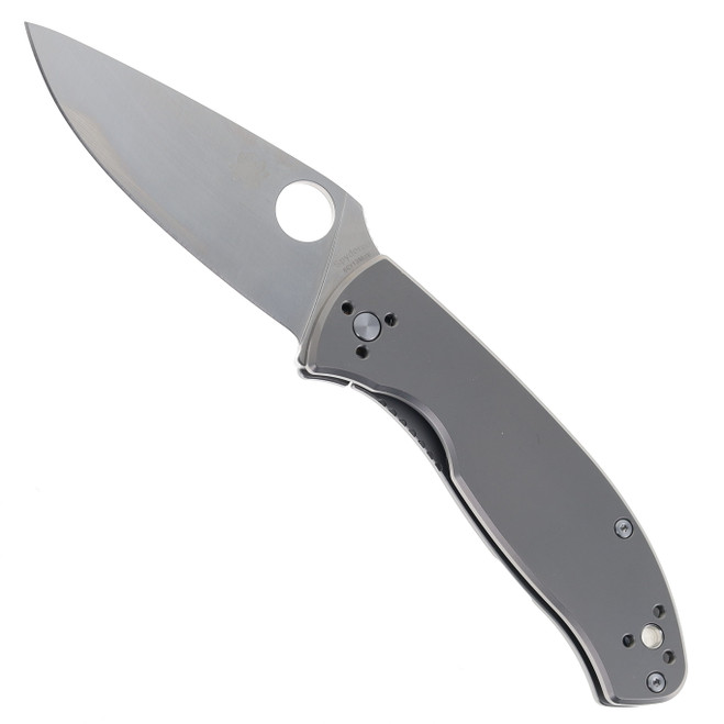 Spyderco Tenacious RIL Folding Knife Bead Blast Titanium Handle 8Cr13MoV Plain Edge C122TIP
