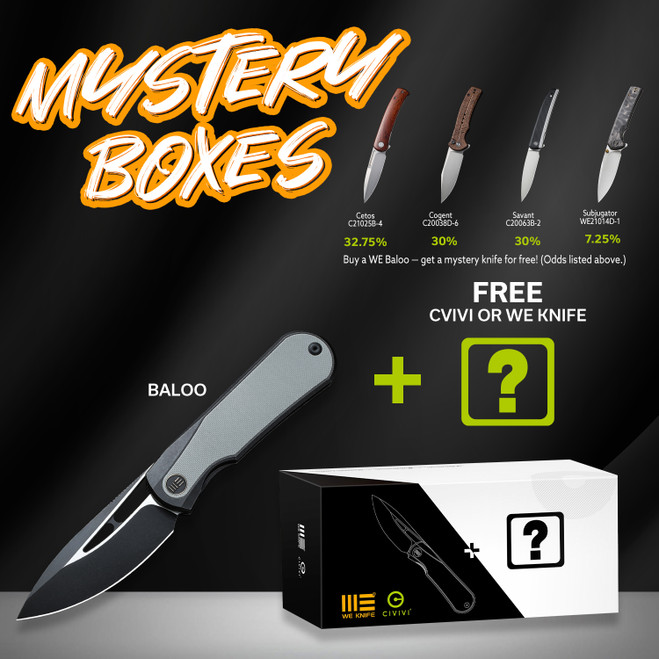 Mystery Box - WE Baloo Flipper Folding Knife Black/Gray Titanium/G10 Inlay Handle 20CV Drop Point Plain Edge Black/Satin Flat Finish WE21033-1 Mystery Box - WE Baloo Flipper Folding Knife Black/Gray Titanium/G10 Inlay Handle 20CV Drop Point Plain Edge Black/Satin Flat Finish WE21033-1
