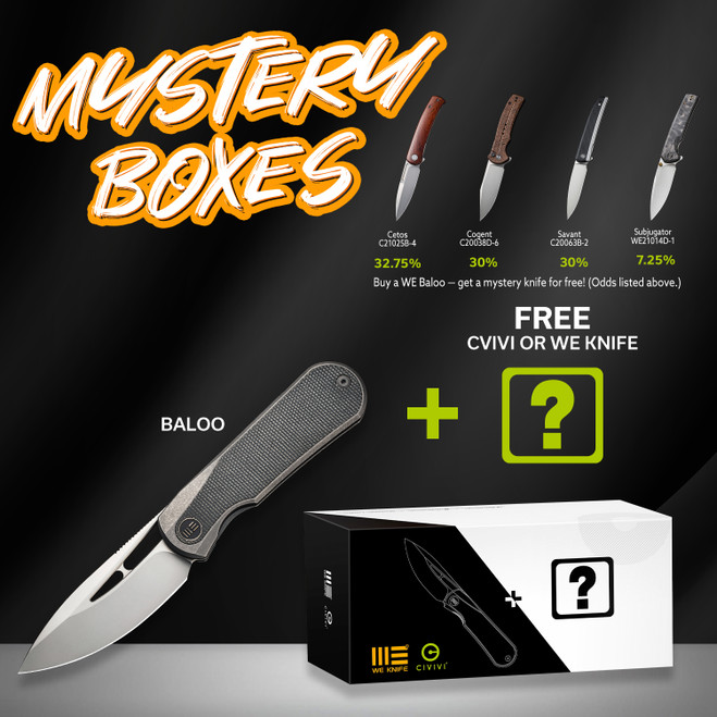 Mystery Box - WE Baloo Flipper Folding Knife Gray/Dark Green Titanium/Micarta Inlay Handle 20CV Drop Point Plain Edge Silver Bead Blast Finish WE21033-4 Mystery Box - WE Baloo Flipper Folding Knife Gray/Dark Green Titanium/Micarta Inlay Handle 20CV Drop Point Plain Edge Silver Bead Blast Finish WE21033-4