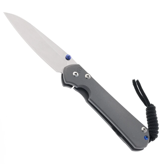 Chris Reeve Large Sebenza 31 Folding Knife Insingo Blade Sandblasted Titanium Magnacut Blade L31-1008
