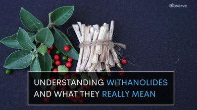 Ashwagandha With What? Understanding Withanolides and What They Really Mean