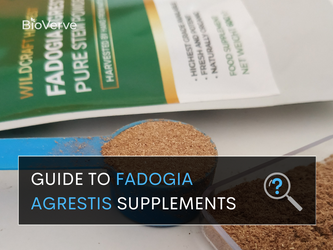 Guide to Fadogia Agrestis