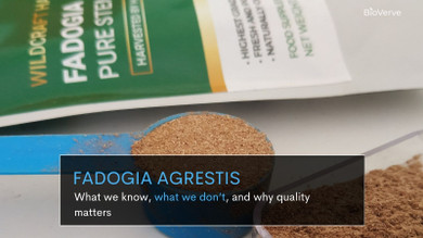 Fadogia Agrestis: What We Know, What We Don’t, and Why Quality Matters