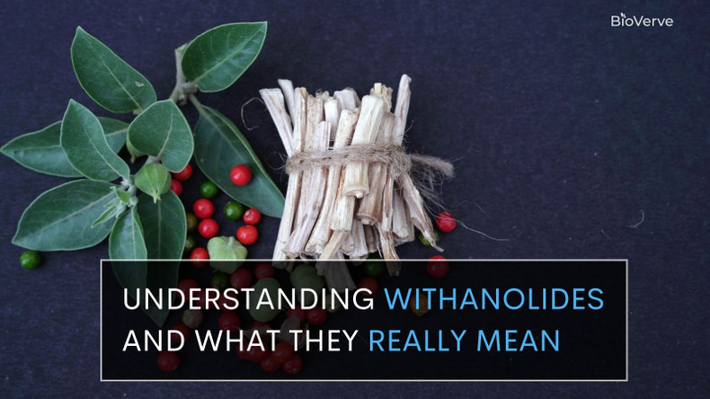 Ashwagandha With What? Understanding Withanolides and What They Really Mean