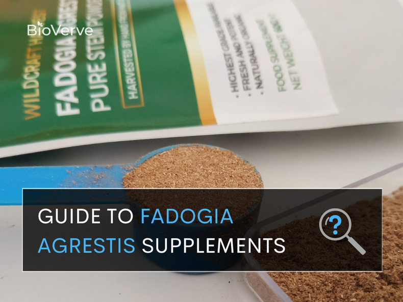 Guide to Fadogia Agrestis