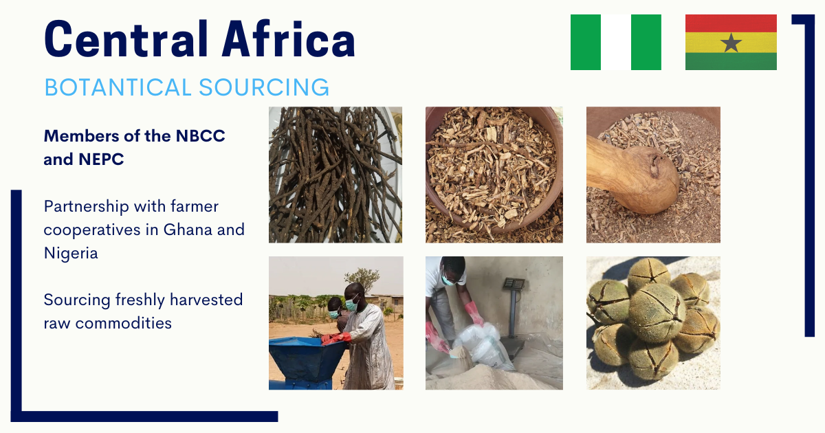 africa-team.png africa-team.png