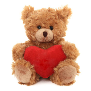 6″ Valentine Teddy Bear with Custom Heart | Teddy with Heart