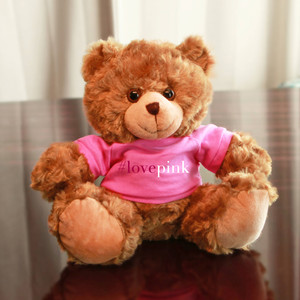 Mocha bear Pink Love 6" and 11"