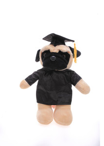 Graduation Pug 8"