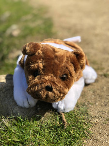 10" Bulldog Stuffed Animal - Plush Bulldog Stuffed Animal 10" Bulldog Stuffed Animal - Plush Bulldog Stuffed Animal