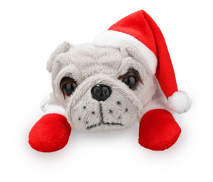 Christmas bulldogs Gray Christmas bulldogs Gray
