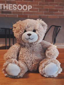 Maxi the Furry Bear 9" Maxi the Furry Bear 9"