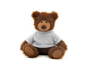Plush Teddy Bear Frankie 10" with customizable Hoodie